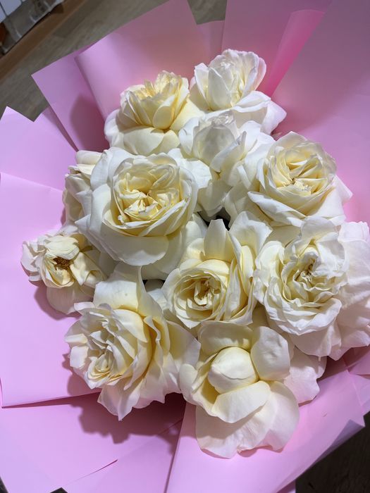 Роза 11 шт шымкент