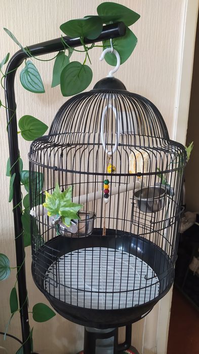 Продам клетку на подставке.