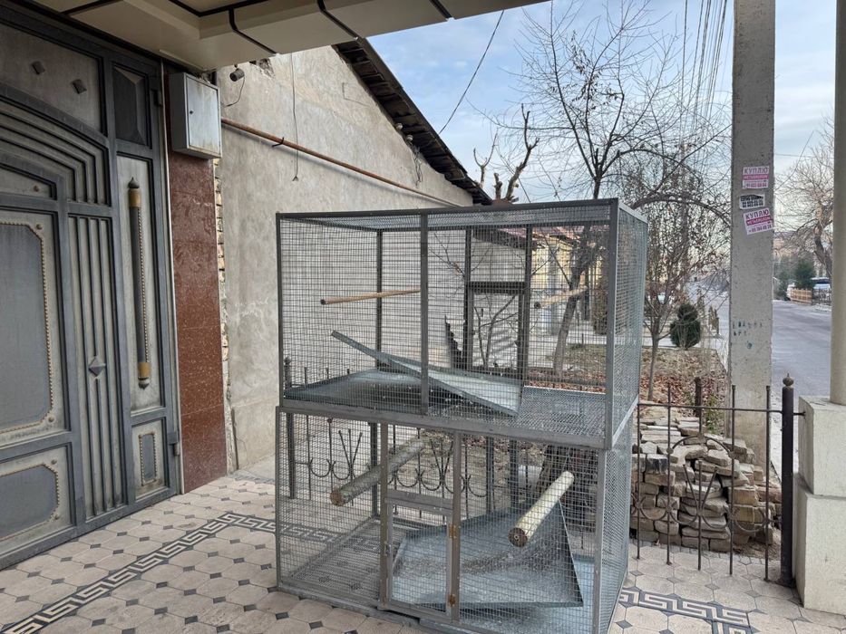 Qafasla sotuladi .Azgina ishlatilgan