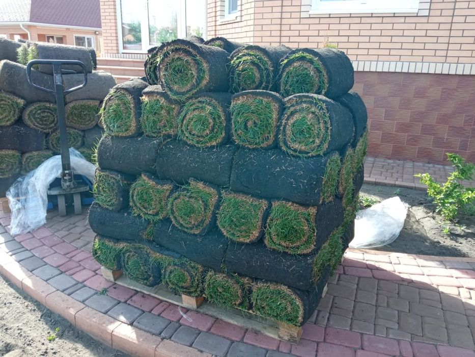 Газон под ключ озеленение