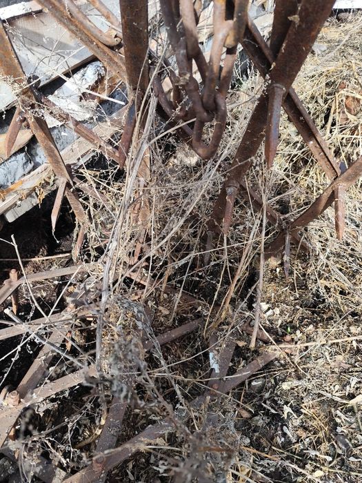 Продам газ 53, 2птс-4