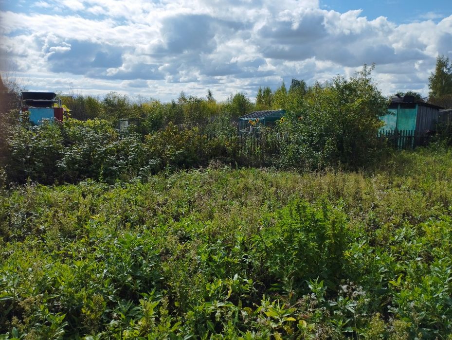 Продам дачу в с.о Ракета