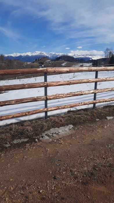 Cusca pui iepuri caini ,mese ,fantani, obiecte rustice