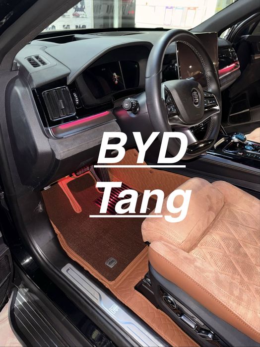 9D polik / коврики для BYD Tang