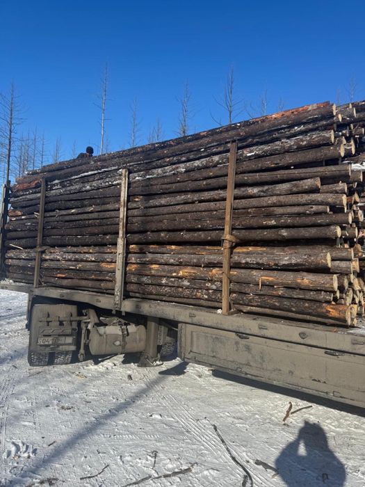 Продам жерди за 1 шт 4000 тенге.