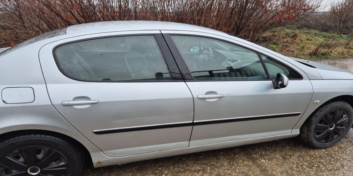 Punte spate Peugeot 407 prima generatie