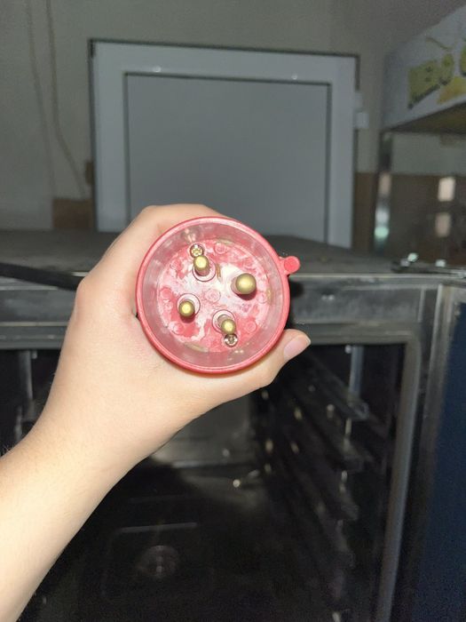 Професионален конвектомат