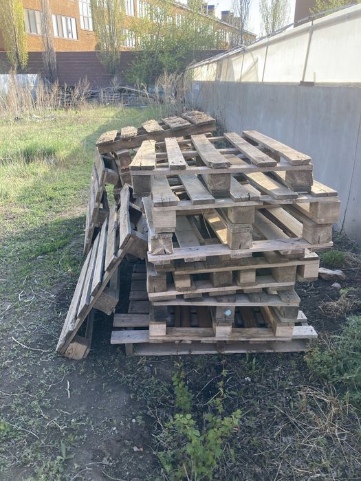 Поддоны штук 1000тг