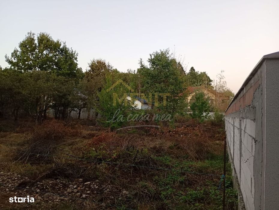 Teren Baicoi 572 mp