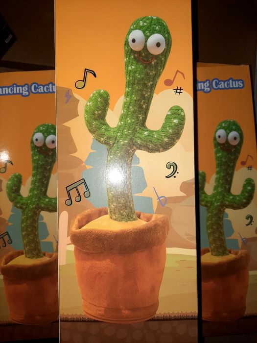 БЕПУЛ Доставка, Говорящий Кактус, Танцующий Кактус,Dancing cactus.