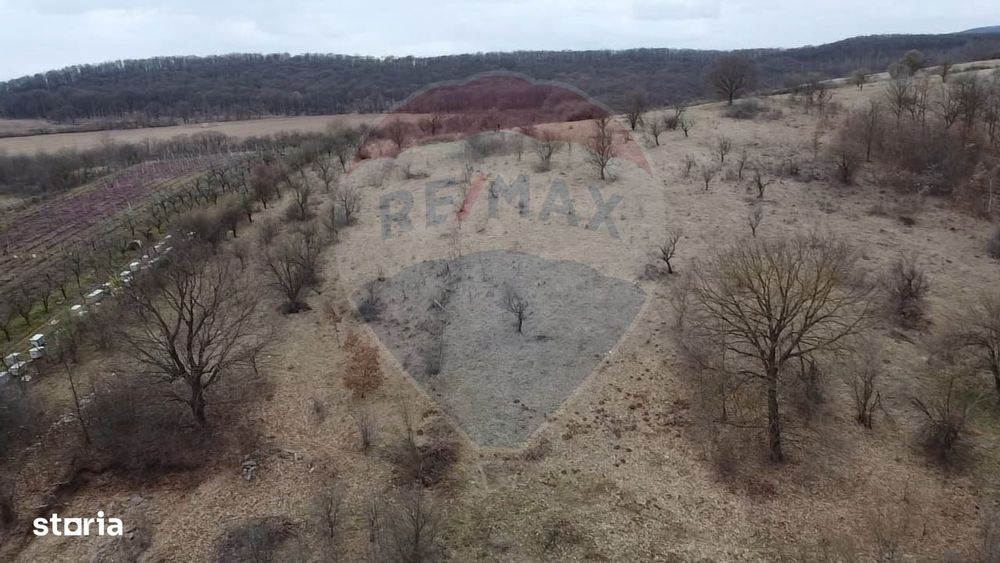 Oportunitate investiție! Teren intravilan 1.654 mp în Alba Iulia