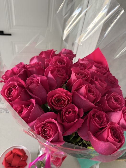 дд!Продам цветы , в хорошем состоянии