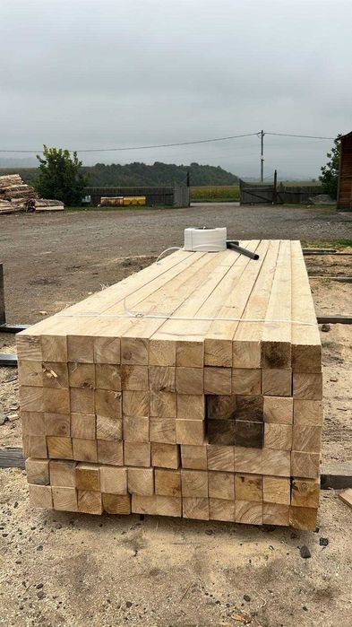 Cherestea, BRAD, Molid, STEJAR, FRASIN, Tei