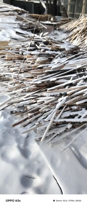 Дрова сухостой самовывоз