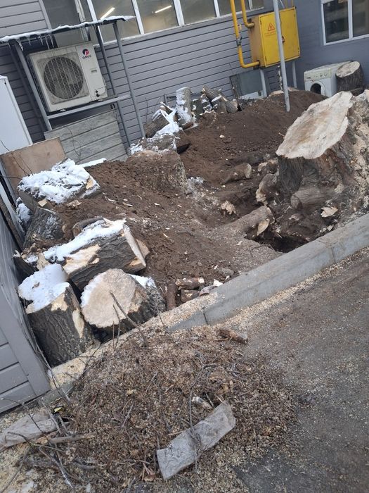 Продаются  дрова.