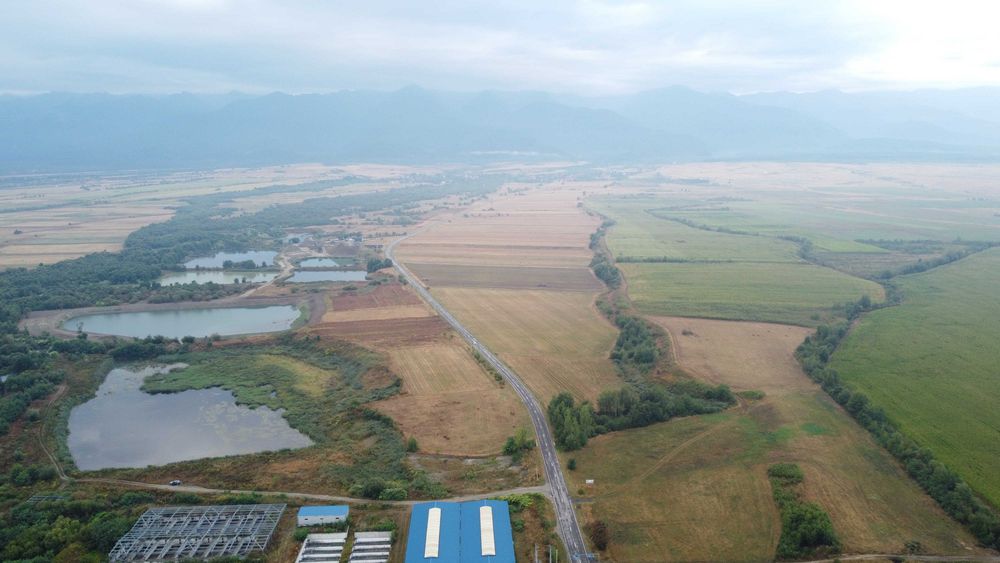 Teren 4,47 ha cu luciu de apă judetul Sibiu DN1/DN1C Cârţișoara Sibiu | Lac | Oportunitate investiție, camping, pescuit sau agrement.