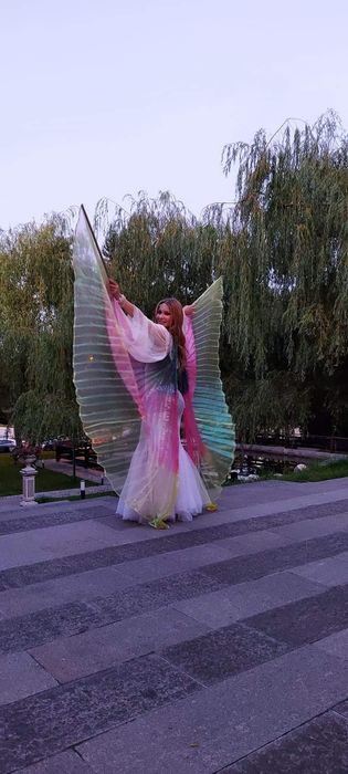 Dansatoare oriental bellydance evenimente