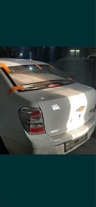 Костоправ маляр