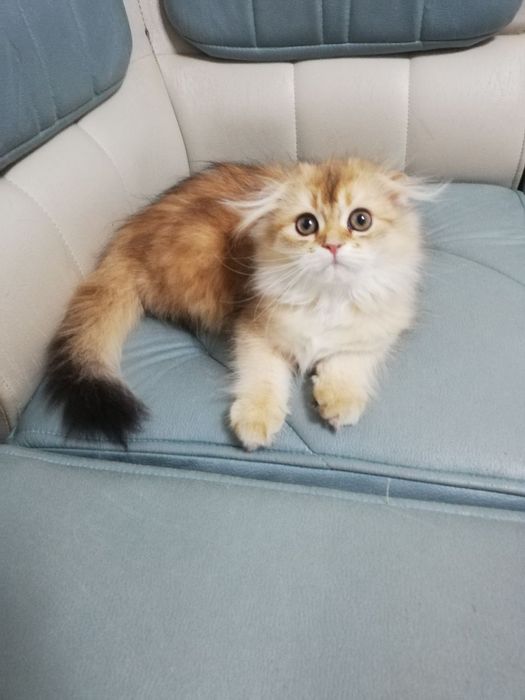 Готовы переехать в новый дом малыши