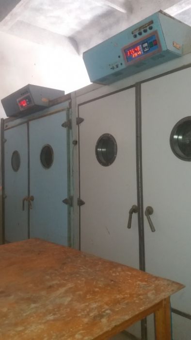 Inkubator xizmati tovuq kurka sesarka õrdak bedana kurk