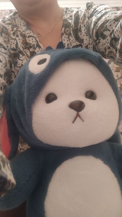 Игрушка  кот акула новая