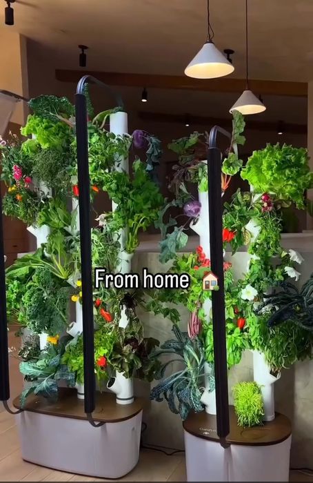 Вертикальная гидропоника