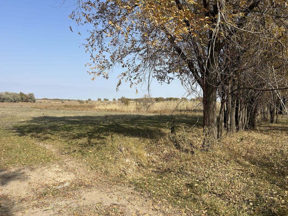 Участок под фазенду КХ