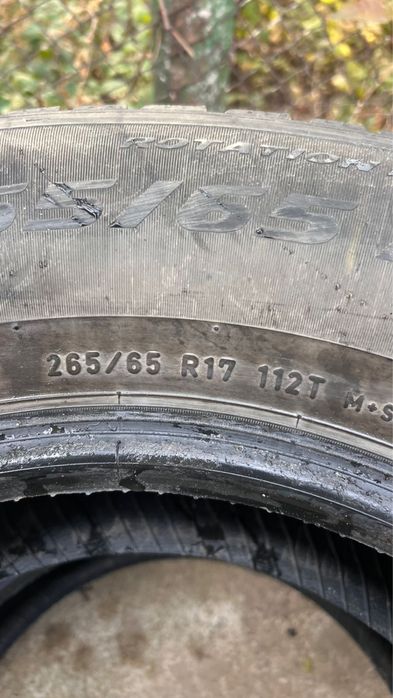Зимняя Резина Pirelli Шипованная