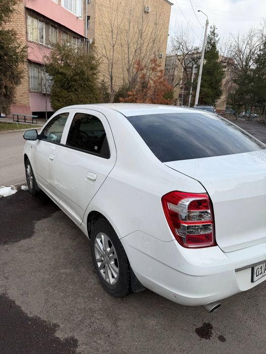 Other Cobalt 2025 — 5