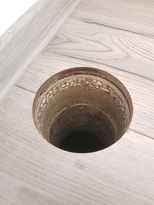 Gaura hota, gaura carota. Timișoara, Lugoj.