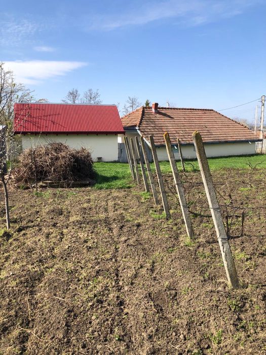 Vand teren intravilan 2000mp belcesti cu utilitati și acte la zi