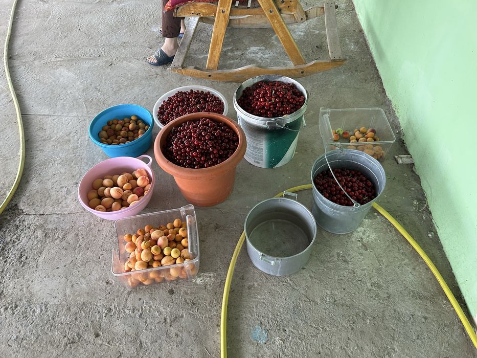 Продаем дачный дом