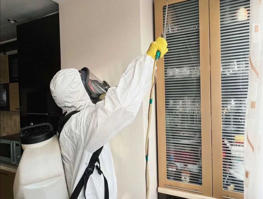 Дезинфекция от клопов дезинсекция dezinfeksiya dizinfeksiy klapa клоп