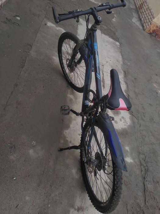 Velosiped sportivniy