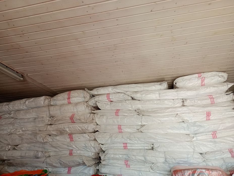 Sacii Rafie Toate Dimensiunile