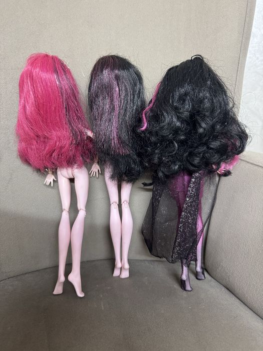 Дракулаура куколка