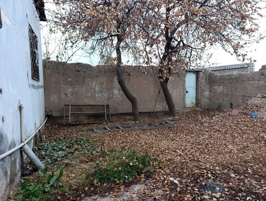 yangi toshmidan 2.5 km kirganda damariqda 6.83 sotix yer sotiladi