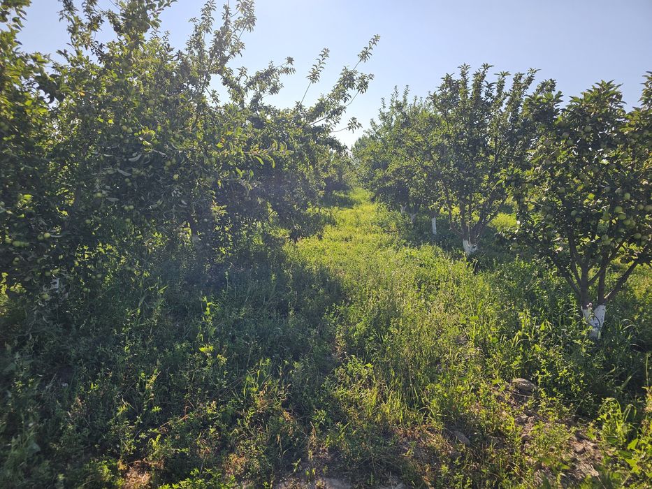 Продаётся  бизнес