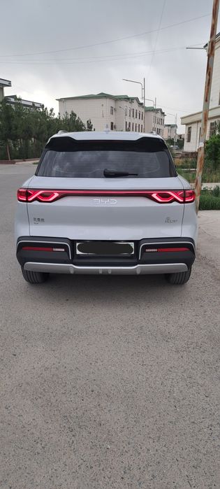Bvd yuan ap Ev 2024