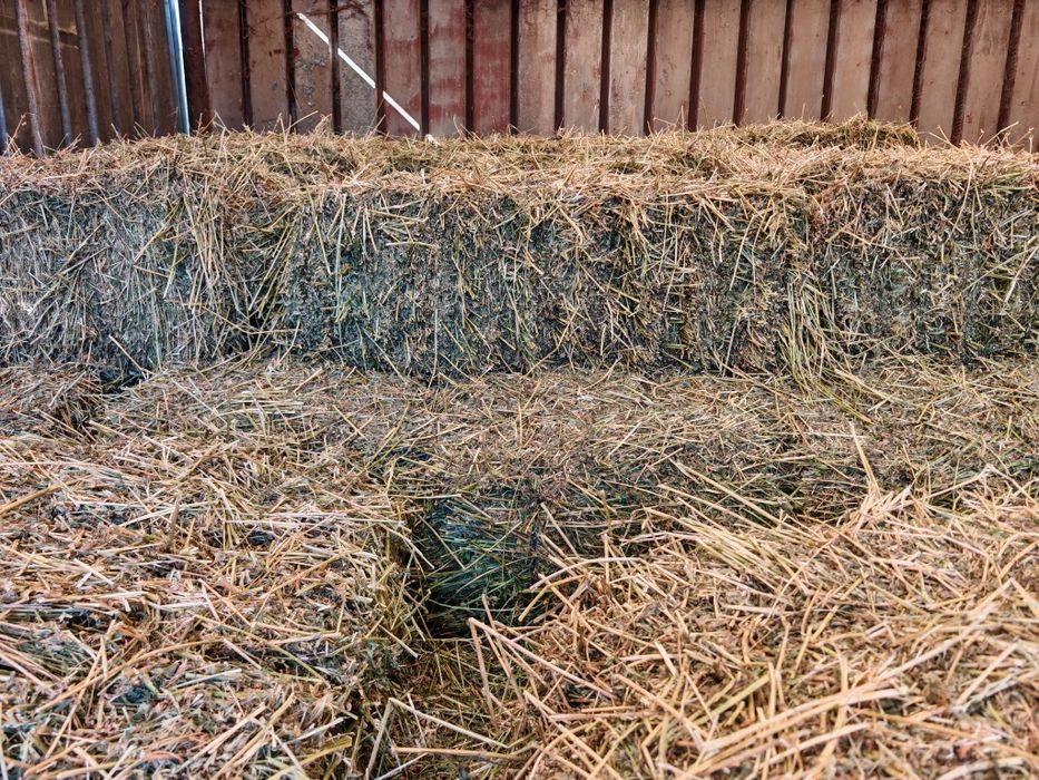 Baloti rotunzi(Borcea.,ovaz,triticale,mazare)250 lei