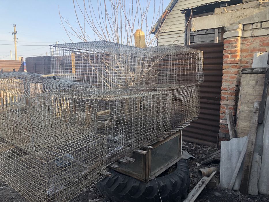 Клетки для животных и птиц