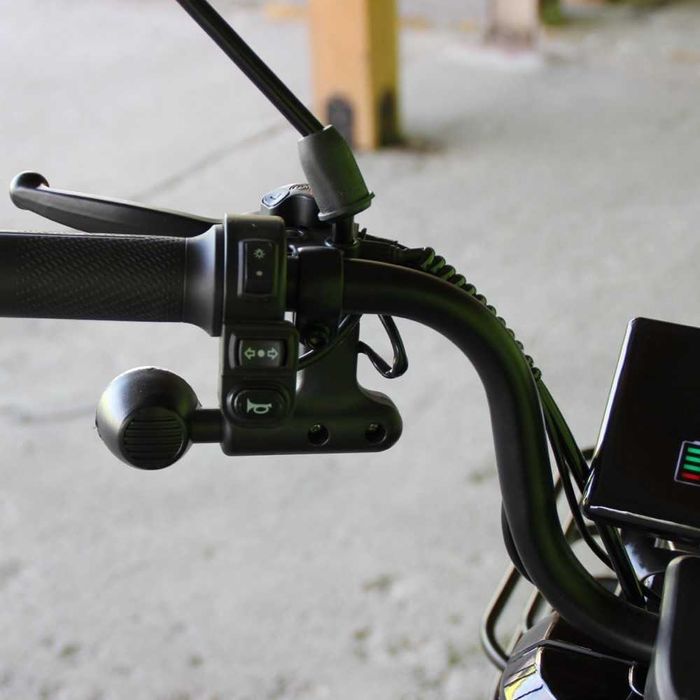 Двуместна електрическа триколка MaxMotors Pudding 1800W-48V-20Ah-BLACK