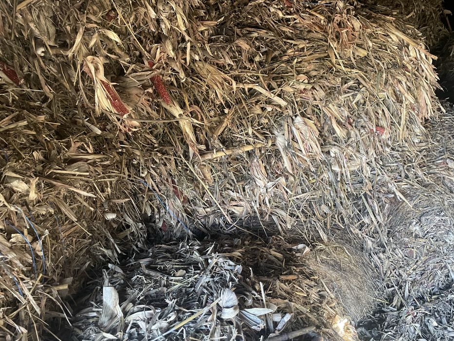 Vând baloti de iarba rotunzi