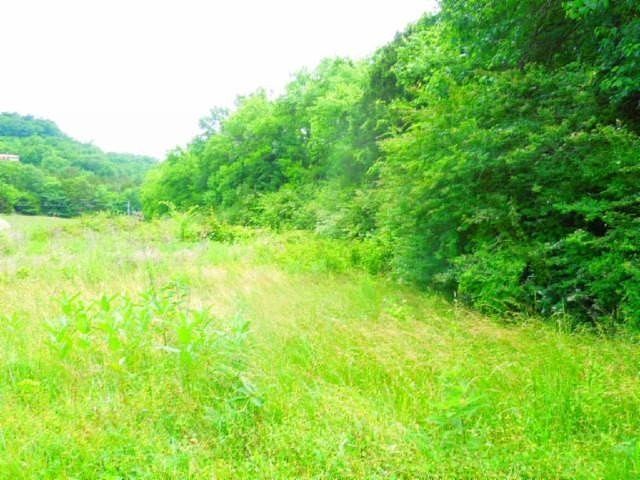 Teren Cabana Ocolis Alba – langa rau de munte, 4000 mp, SUPER OFERTA
