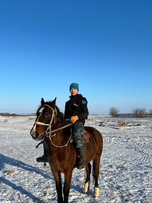 Ат 11жасар(лет)  пишпе(мерень)