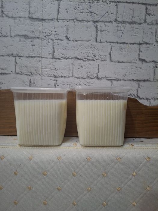 Продам гусинный жир