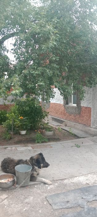 Продам дом или меняю на квартиру