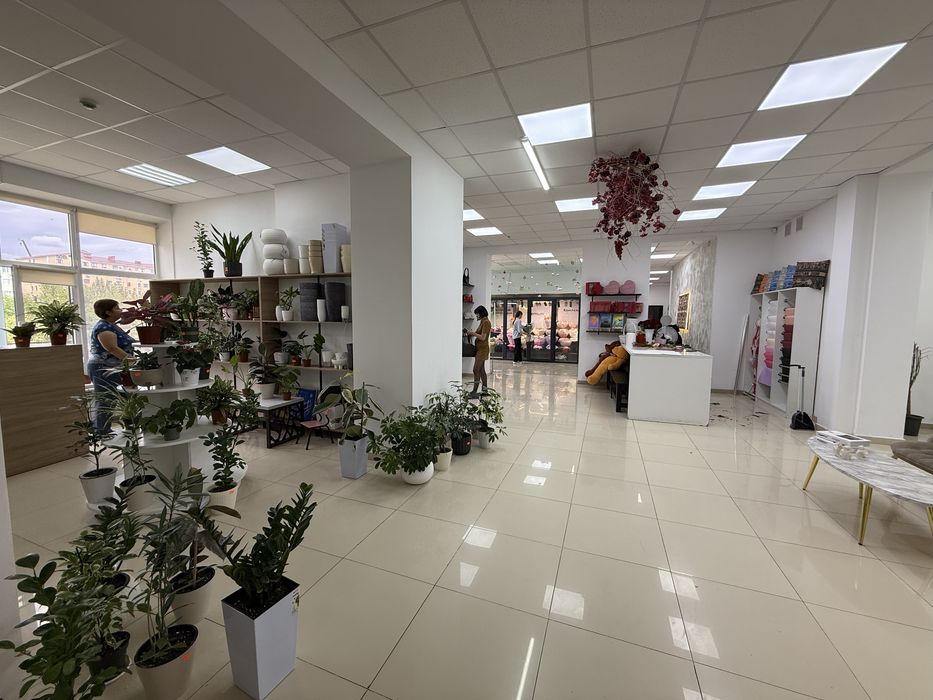 Действующий бизнес