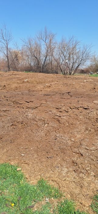 Навоз бесплатно даром