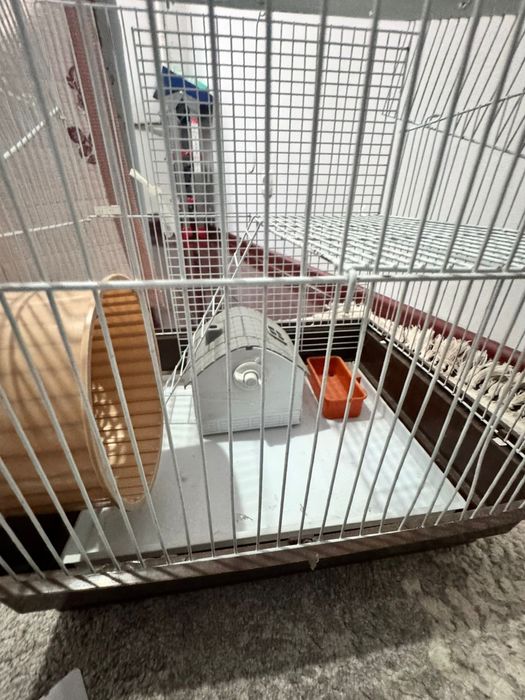 Клетка для хомяков 2 этажа